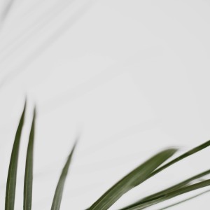 光大测试1 - 商城产品